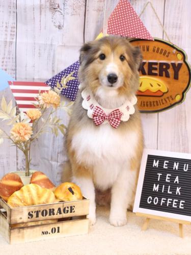 20240908リクくん